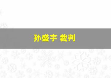 孙盛宇 裁判